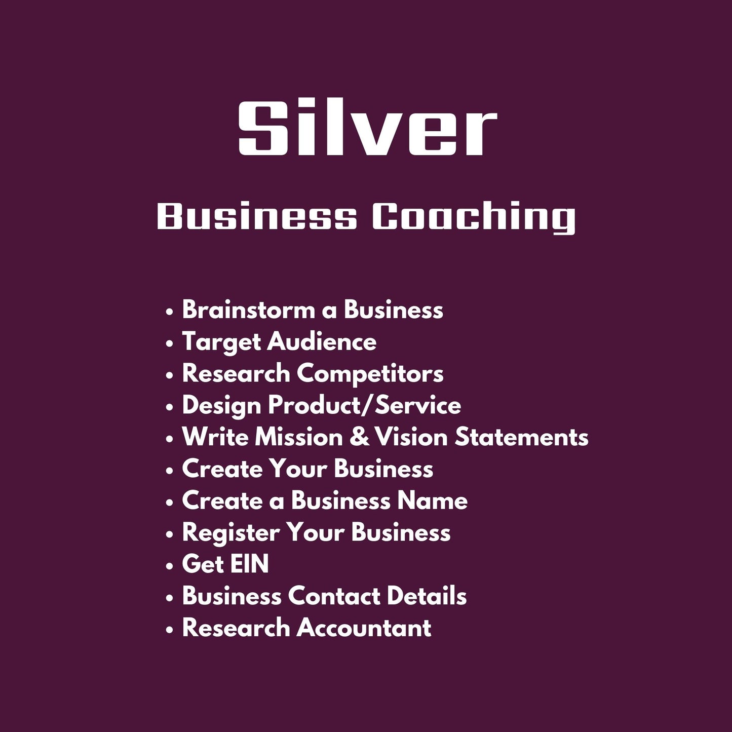 Silver - Business Coaching Package